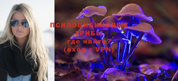 кокс Алексеевка