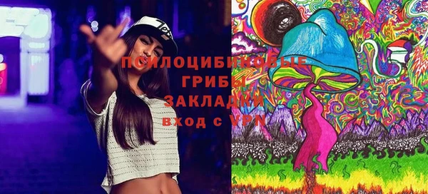 амф Аркадак