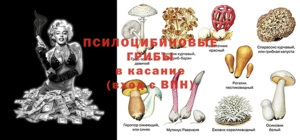 амф Аркадак