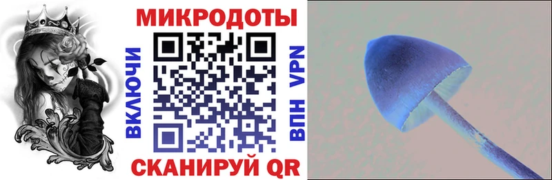 Галлюциногенные грибы мухоморы  где купить наркоту  Курганинск 